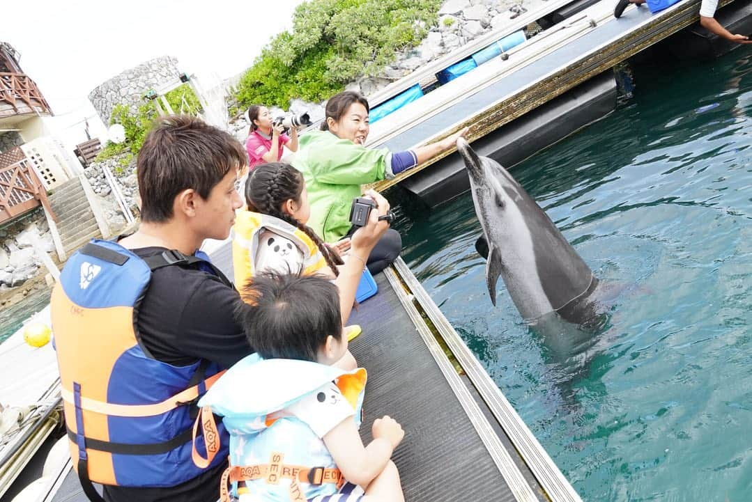 涼紫央さんのインスタグラム写真 - (涼紫央Instagram)「イルカの素直さにも感動 かわいくてかわいくて涙が出ました」5月7日 20時45分 - toitoitoi