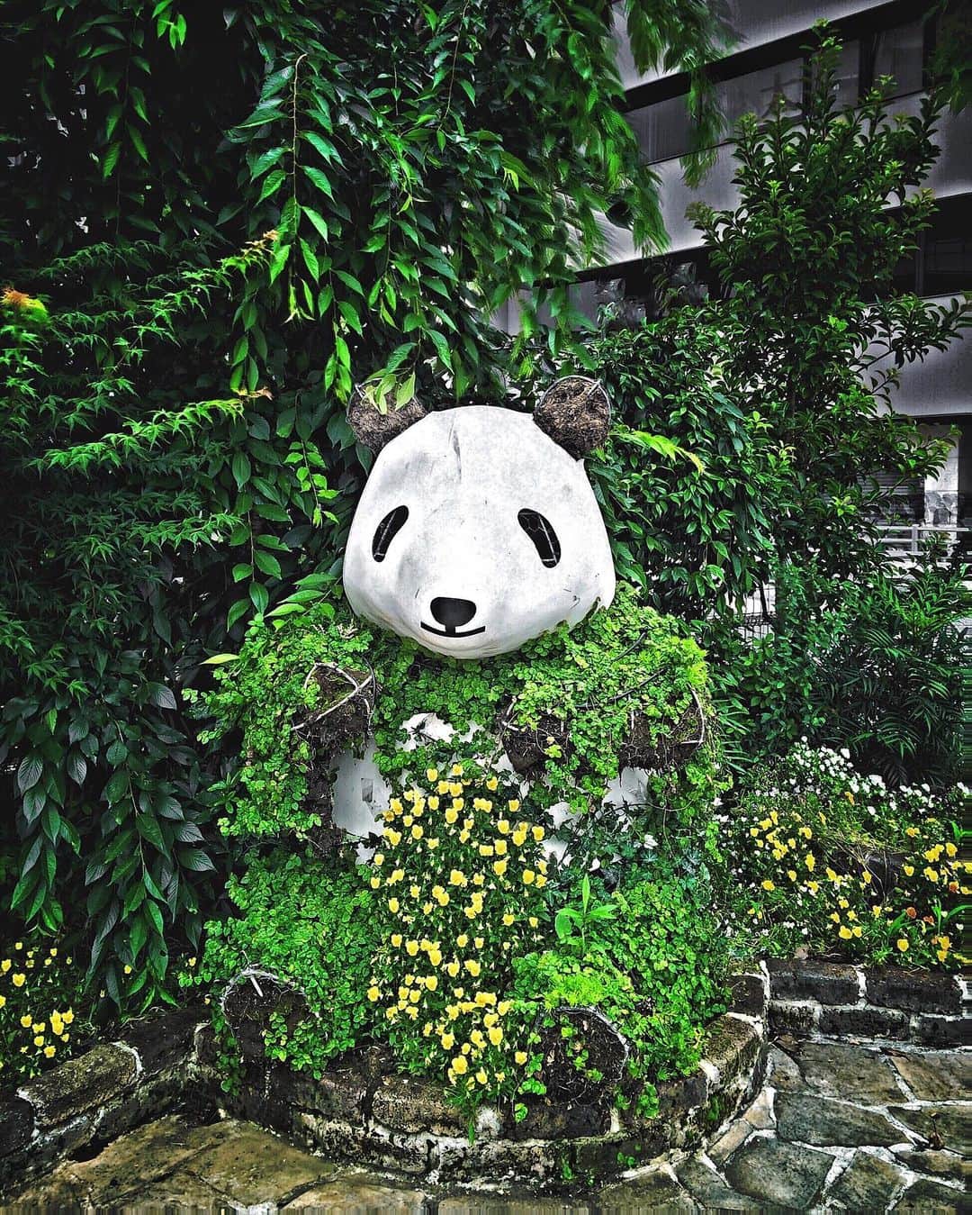 Yasuhito Shigakiのインスタグラム：「. . #panda #パンダ . . . . Tokyo, Japan」