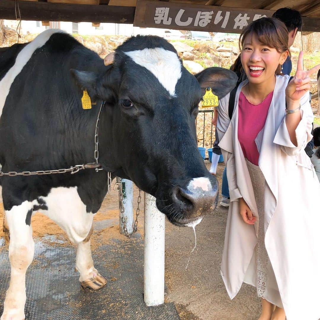 河谷麻瑚さんのインスタグラム写真 - (河谷麻瑚Instagram)「. 牛さん！🐄💞 ヨダレ垂れてますよ！！ . . ヤギさん！🐐💓 そんなに、見つめないでください！！ . . #長野県#牧場#牛#ヤギ#堪能#ふれあい#石川テレビ#アナウンサー#河谷麻瑚」5月7日 21時00分 - makokawatani