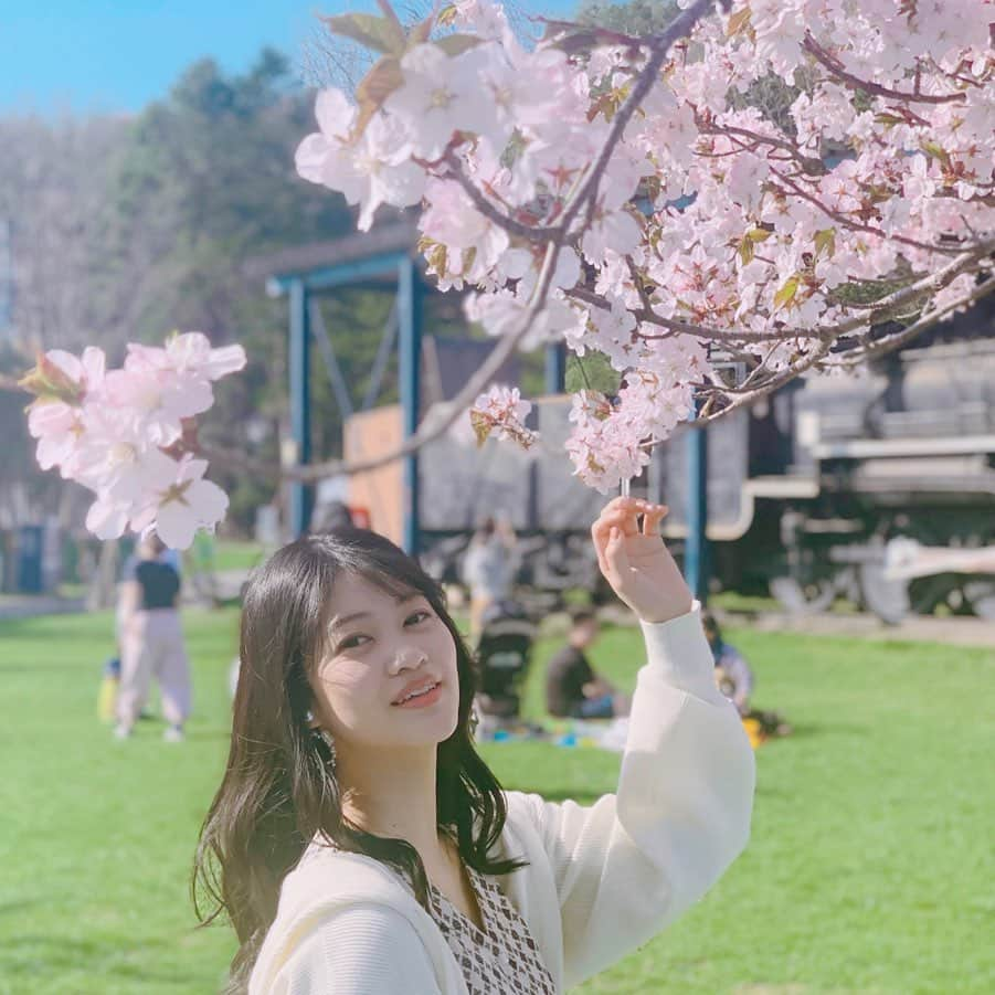 東李苑さんのインスタグラム写真 - (東李苑Instagram)「桜の綺麗さって計り知れないね、 穏やかな気持ちになれたひと時😌😌 . #gwの思い出 #🌸 #hokkaido  #北海道 #栗山町 #栗山公園  #お花見 #桜」5月7日 21時28分 - az_rion