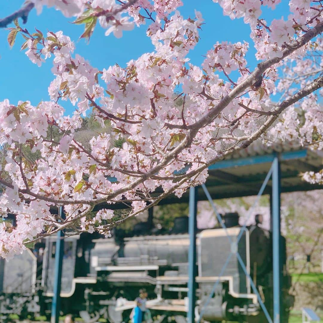 東李苑さんのインスタグラム写真 - (東李苑Instagram)「桜の綺麗さって計り知れないね、 穏やかな気持ちになれたひと時😌😌 . #gwの思い出 #🌸 #hokkaido  #北海道 #栗山町 #栗山公園  #お花見 #桜」5月7日 21時28分 - az_rion