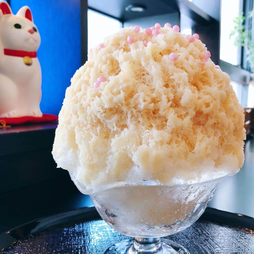 里井真由美のグルメインスタ