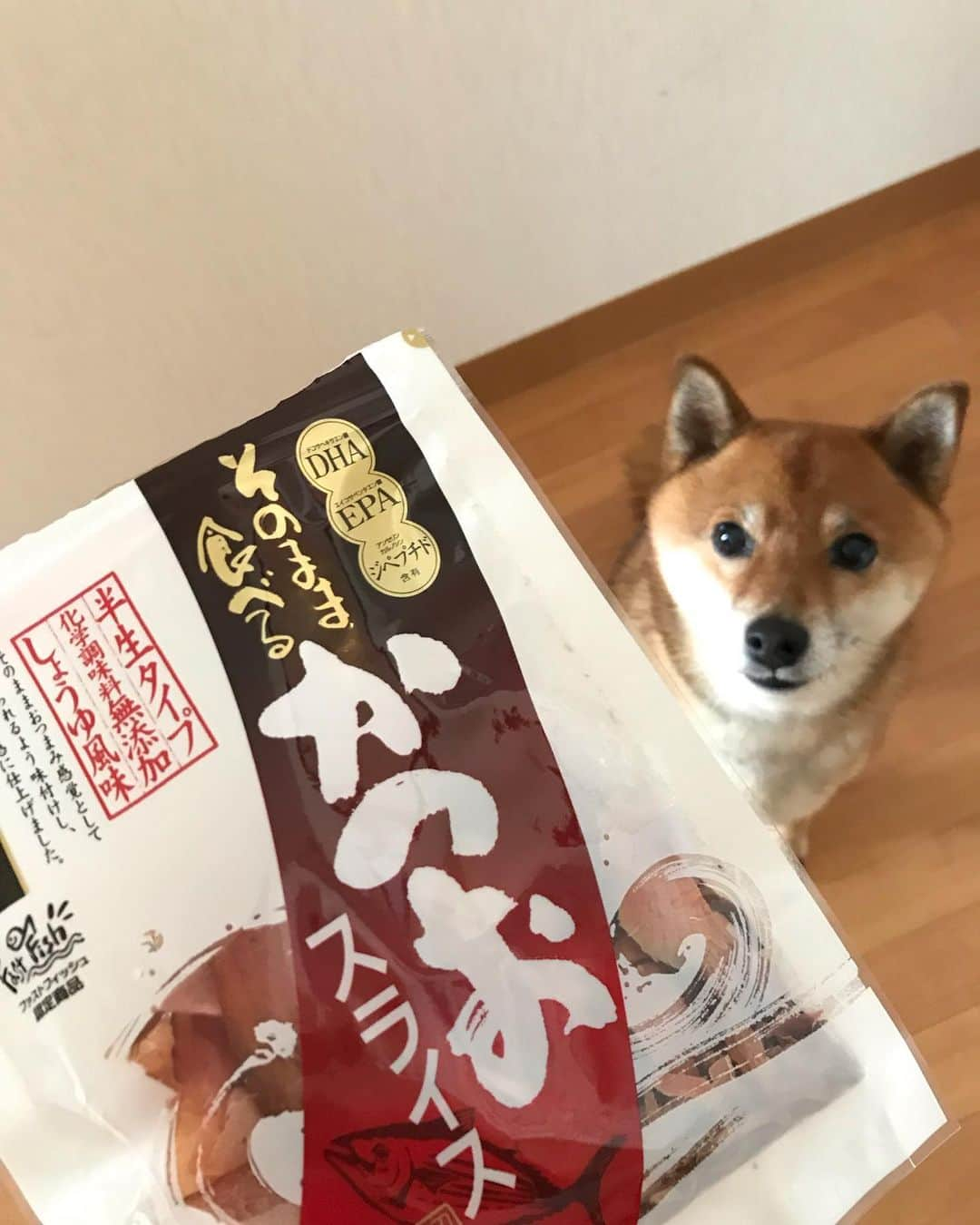 柴犬はなこ Shibainu Hanakoさんのインスタグラム写真 - (柴犬はなこ Shibainu HanakoInstagram)「これめっちゃ美味しかった！！もっと買えば良かったぁああ！！😋😋😋 #shiba #dog #shibainu #kid #犬 #柴犬 #そのまま食べるかつおスライス #半生 #鹿児島 #お土産」5月7日 21時53分 - kiki_beee