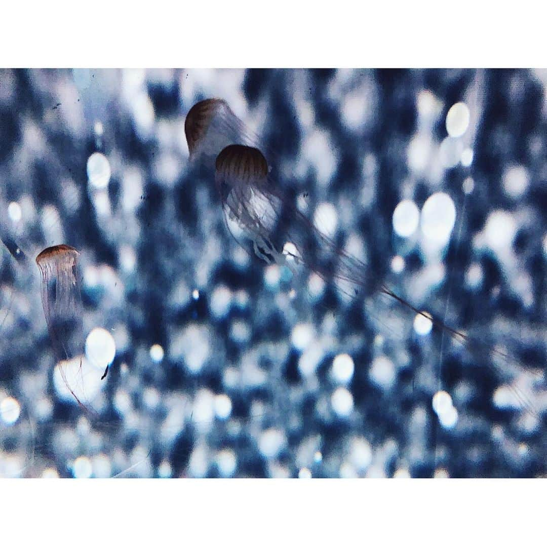 高橋和美さんのインスタグラム写真 - (高橋和美Instagram)「. 🌸🐠💛 #スカイツリー#すみだ水族館#桜」5月7日 21時53分 - iam_____k_____