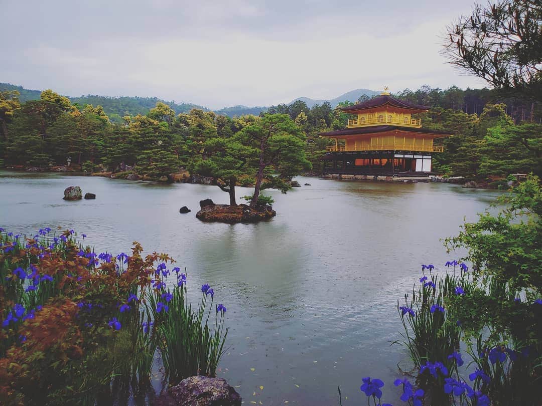 上杉隆さんのインスタグラム写真 - (上杉隆Instagram)「雨の金閣寺　#kinkakuji #kyoto⛩ #japan🇯🇵」5月7日 22時04分 - takashiuesugi
