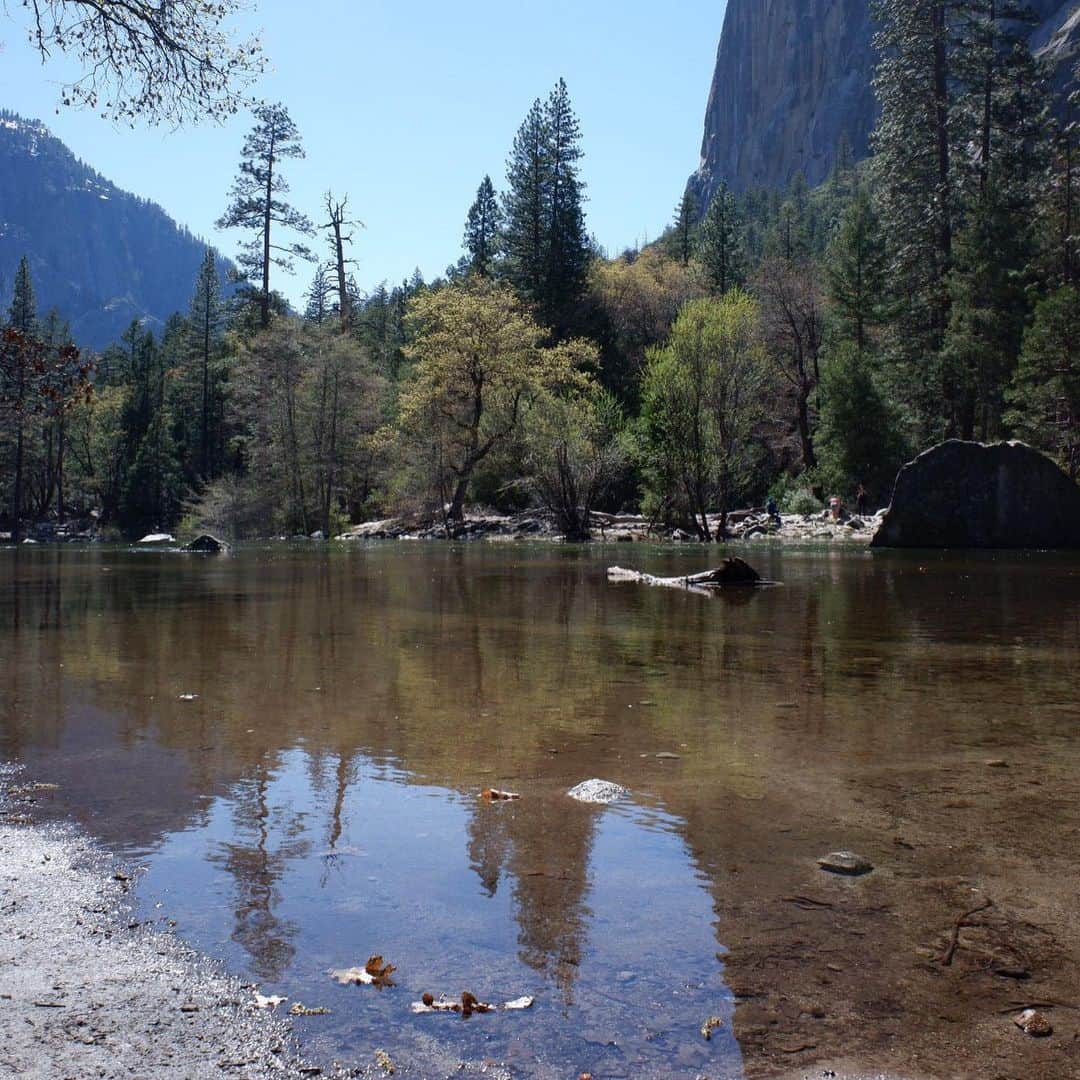 吉羽真紀さんのインスタグラム写真 - (吉羽真紀Instagram)「Yosemiteにも行きました 圧巻のヨセミテ滝。是非動画見て🥺✨！ ハーフドーム、トンネルビューからの景色 、ミラーレイク 、こんな場所なかなか来れないだろうなぁ ありがとうサラダ記念日🐻🐝🍯 #yosemitefalls #yosemite #yosemitenationalpark #thenorthface」5月7日 22時07分 - makiyoshiba_0911