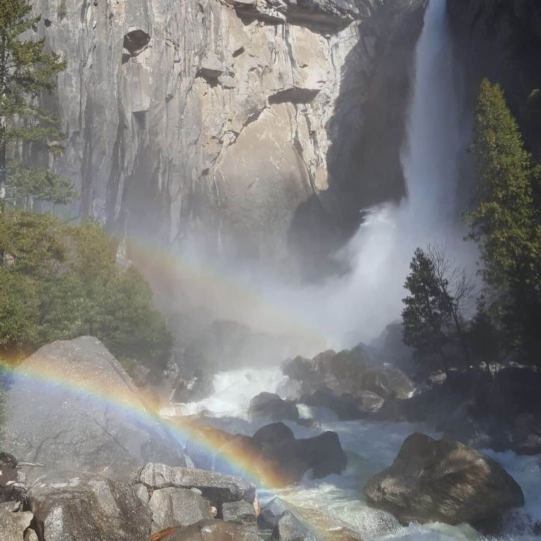 吉羽真紀さんのインスタグラム写真 - (吉羽真紀Instagram)「Yosemiteにも行きました 圧巻のヨセミテ滝。是非動画見て🥺✨！ ハーフドーム、トンネルビューからの景色 、ミラーレイク 、こんな場所なかなか来れないだろうなぁ ありがとうサラダ記念日🐻🐝🍯 #yosemitefalls #yosemite #yosemitenationalpark #thenorthface」5月7日 22時07分 - makiyoshiba_0911