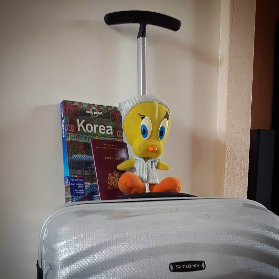 Little Yellow Birdさんのインスタグラム写真 - (Little Yellow BirdInstagram)「Aaaand, I'm off to the airport! South Korea, here I come!! #littleyellowbird #tweety #tweetykweelapis #adventures #yellow #bird #trip #travel #traveling #wanderlust #reiskriebels #airport #amsterdam #schiphol #incheon #seoul #southkorea #zuidkorea #asia #klm #flying #holidays #samsonite #luggage #stuffedanimalsofinstagram #plushiesofinstagram」5月7日 22時11分 - tweetykweelapis