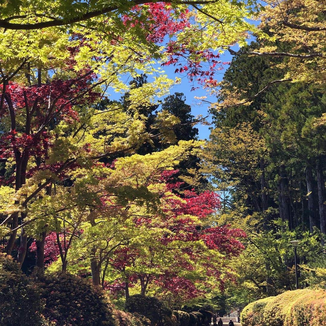 和田 一浩さんのインスタグラム写真 - (和田 一浩Instagram)「今日はスタイルプラスのロケで高野山に行ってきました。有野さんと楽しかったです。かなり寒くビックリ‼️ #有野晋哉 #高野山 #スタイルプラス #東海テレビ #和田一浩」5月7日 22時30分 - wadakazuhiro