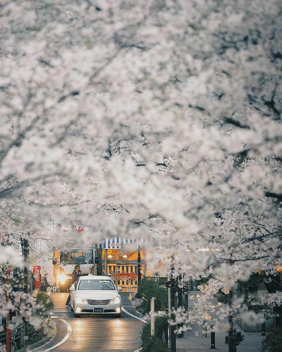 Berlin Tokyoさんのインスタグラム写真 - (Berlin TokyoInstagram)「🚖 Tokyo taxes. . Which photo do you like? . 📍#tokyo , #japan」5月7日 22時23分 - tokio_kid