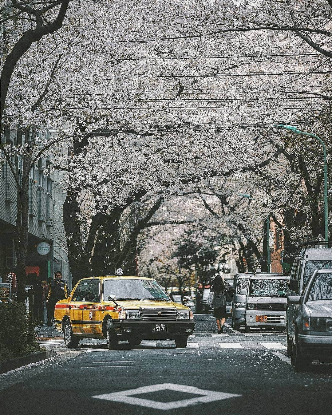 Berlin Tokyoさんのインスタグラム写真 - (Berlin TokyoInstagram)「🚖 Tokyo taxes. . Which photo do you like? . 📍#tokyo , #japan」5月7日 22時23分 - tokio_kid
