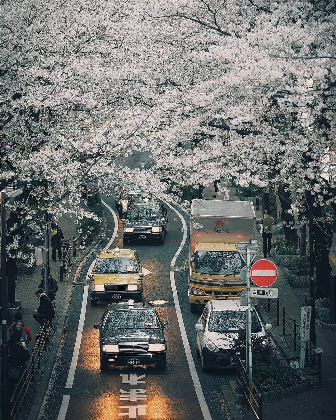 Berlin Tokyoさんのインスタグラム写真 - (Berlin TokyoInstagram)「🚖 Tokyo taxes. . Which photo do you like? . 📍#tokyo , #japan」5月7日 22時23分 - tokio_kid