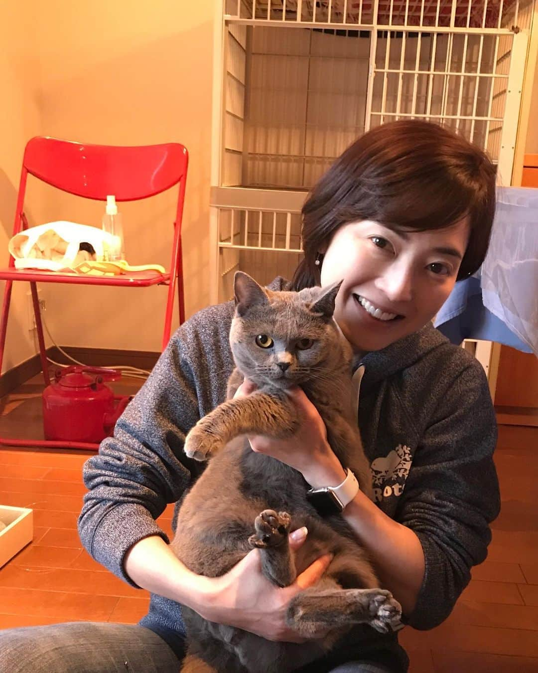 八木沼純子さんのインスタグラム写真 - (八木沼純子Instagram)「すずと一緒に😍😽 ちょっと嫌そうだけどww ・ ・ #背中側からみるとお腹のあたりがふっくら #おぬし太ったな #また走りまくろうね #1歳と10ヶ月  #7月で2歳  #まだまだ赤ちゃん  #スリスリがとまらない  #シャルトリュー  #猫がいる生活  #suzu #chartreux #gray #graycat #catsofinstagram #cats_of_instagram #chartreuxcat #sweetcat #mycat #roots」5月7日 22時25分 - junko_yaginuma