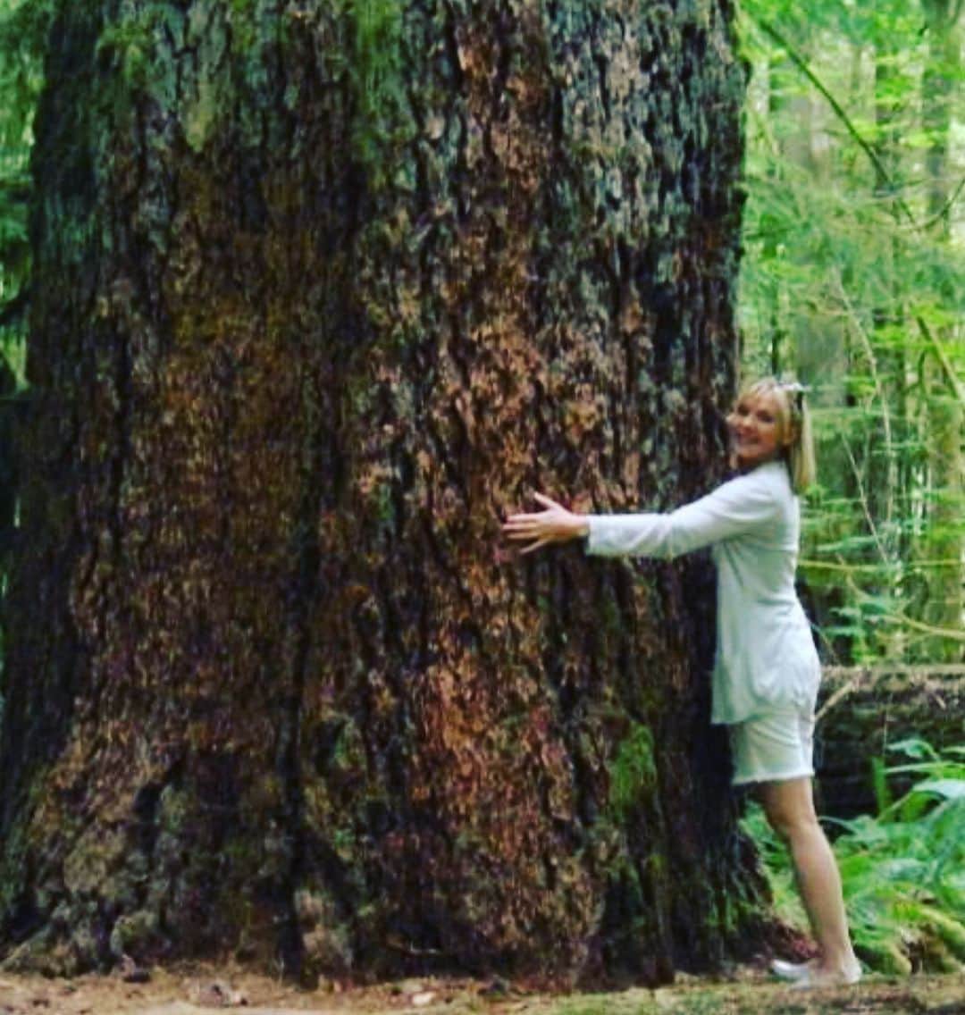 キム・キャトラルさんのインスタグラム写真 - (キム・キャトラルInstagram)「Dreamt of British Columbia & Cathedral Grove, home of 800 year old trees. @hellobc」5月7日 22時44分 - kimcattrall
