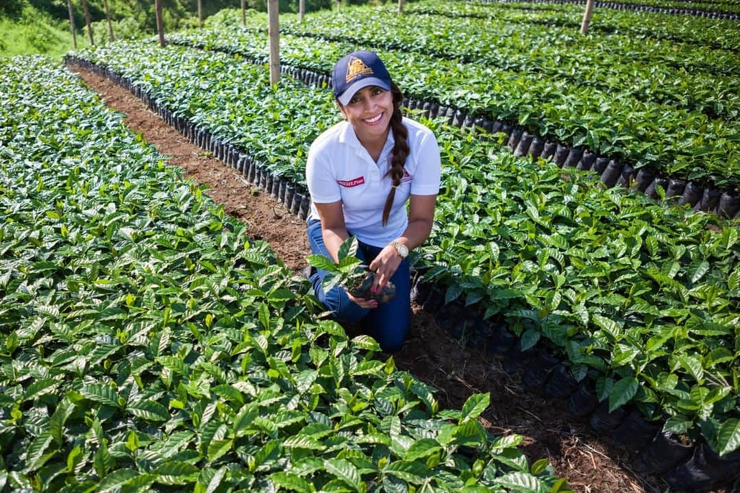 NESCAFEさんのインスタグラム写真 - (NESCAFEInstagram)「Our team of more than 220 sourcing staff visited more than 30,000 coffee farmers in 14 countries🌏 to provide expertise and help to implement good practices in the field🙌 #nescaféplan #GrownRespectfully #nestlé #nescafe」5月7日 23時00分 - nescafe