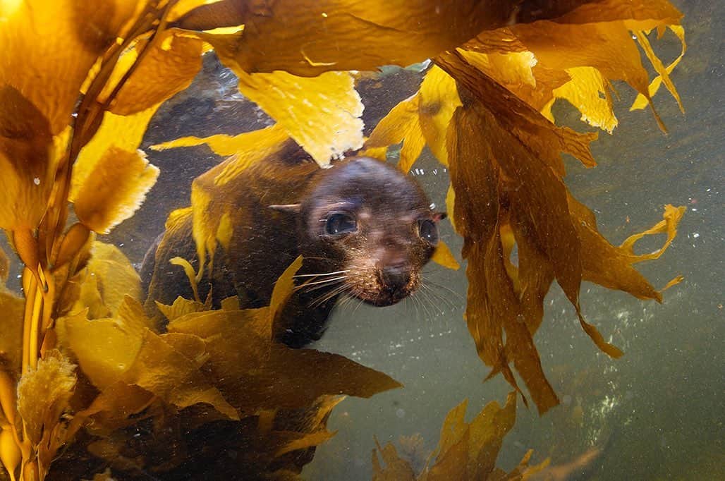 National Geographic Creativeのインスタグラム