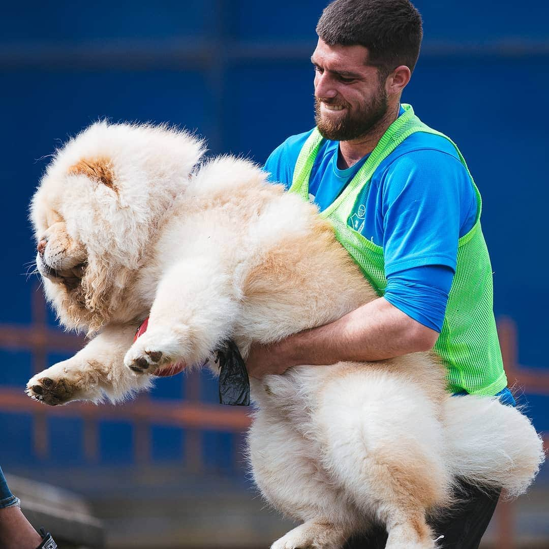 SDエイバルさんのインスタグラム写真 - (SDエイバルInstagram)「When you celebrate your @laliga debut with your best friend 🐕」5月7日 23時46分 - sdeibar