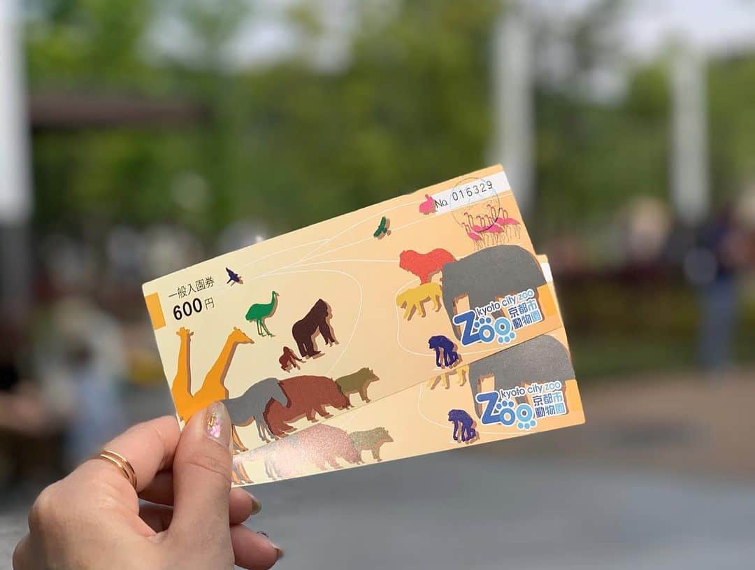 小林さりさんのインスタグラム写真 - (小林さりInstagram)「GWに京都市動物園へ行ってきた◡̈♪ ・ ・ 象が可愛すぎてずっと見ていられる⋆︎* 象って赤ちゃんのような優しい目をしてるよね♪ キリンも好き𓃱°. なのにこの日はキリンに会えず… ・ ・ 最近、水族館やら動物園やら… 癒されるスポットばかり行ってる⋆︎*笑 ・ ・ #京都市動物園 #京都 #動物園」5月7日 23時47分 - _____sari