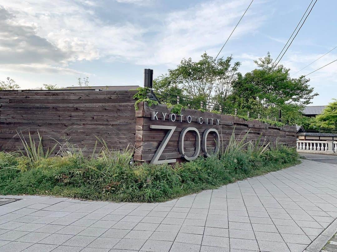 小林さりさんのインスタグラム写真 - (小林さりInstagram)「GWに京都市動物園へ行ってきた◡̈♪ ・ ・ 象が可愛すぎてずっと見ていられる⋆︎* 象って赤ちゃんのような優しい目をしてるよね♪ キリンも好き𓃱°. なのにこの日はキリンに会えず… ・ ・ 最近、水族館やら動物園やら… 癒されるスポットばかり行ってる⋆︎*笑 ・ ・ #京都市動物園 #京都 #動物園」5月7日 23時47分 - _____sari