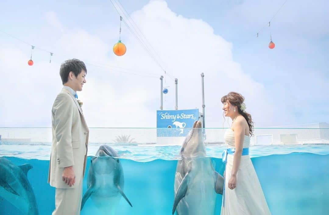 スタジオTVBりんくう店のインスタグラム：「ㅤㅤㅤㅤㅤㅤㅤㅤㅤ おめでとう〜🐬🌈 ㅤㅤㅤㅤㅤㅤㅤ イルカ ウェディング かわいい景色に癒されました。 ㅤㅤㅤㅤㅤㅤ  photo by @a.nonaka_tvb  hair make by @tvb.minami.a  ㅤㅤㅤㅤㅤㅤㅤㅤㅤㅤㅤㅤㅤㅤㅤㅤㅤ #イルカ #イルカショー #日本中のプレ花嫁さんと繋がりたい #全国のプレ花嫁さんと繋がりたい #写真好きな人と繋がりたい #おしゃれさんと繋がりたい #ファインダー越しの私の世界 #d_weddingphoto  #スタジオTVB #ウェディングフォト #ブライダルフォト #ブライダルヘア #プレ花嫁 #卒花 #チェリフォト #東京カメラ部 #フォトレイト #スレンダードレス  #結婚式レポ #花嫁ヘア #ウェディング小物 #portrait #cherish_photo_days #2019秋婚  #2019夏婚」