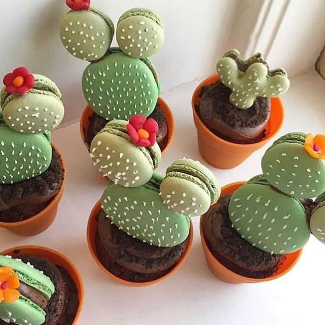 The Louunのインスタグラム：「Good morning ☀️Tag someone who would love this🌵🌵😍#macaron #cacti #cactusmacarons」