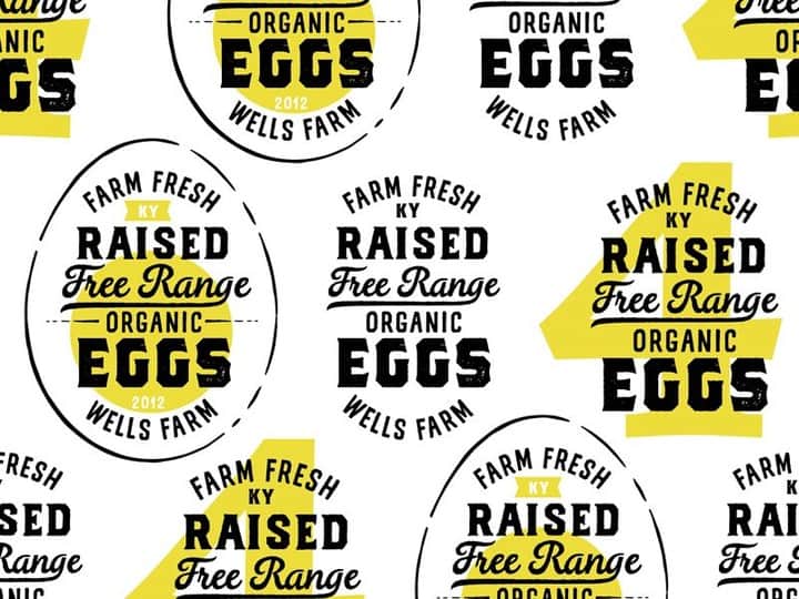 Dribbbleさんのインスタグラム写真 - (DribbbleInstagram)「Free Range Eggs Anyone? by RaiseNoChicken ⠀ ⠀ #dribbble #dribbblers #design #illustration #lettering」5月8日 0時52分 - dribbble