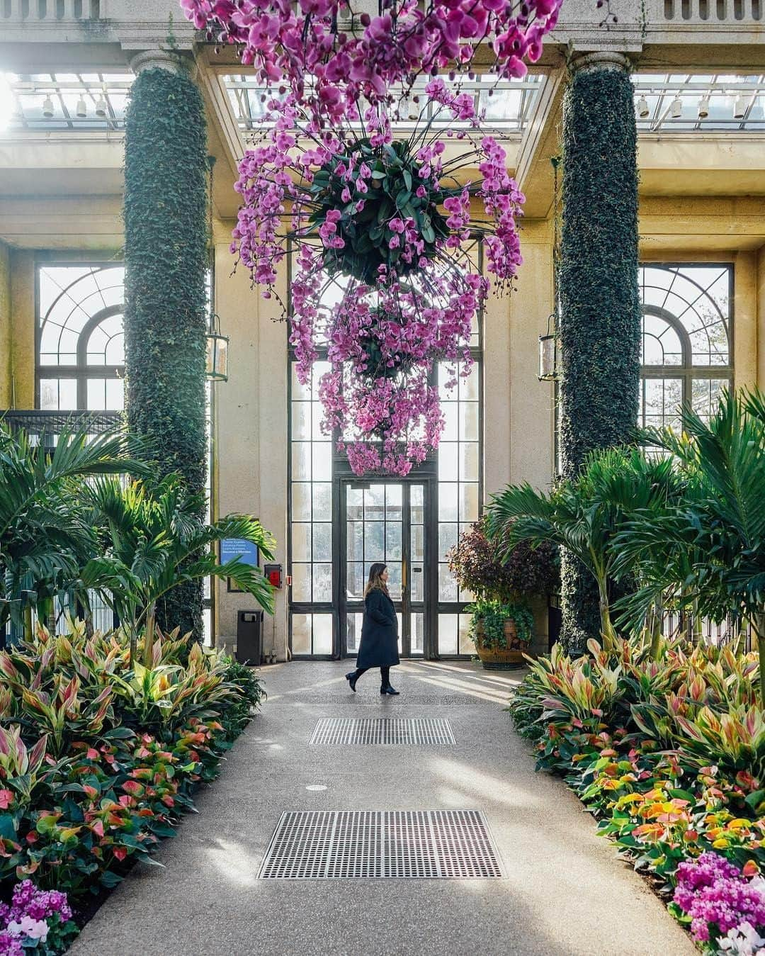 Visit The USAさんのインスタグラム写真 - (Visit The USAInstagram)「Stop and smell the... er, orchids at beautiful @longwoodgardens just outside of @discover_phl, Pennsylvania for over 1,000 acres of gardens, woodlands, and meadows. 📸 : @kylehuff」5月8日 1時00分 - visittheusa