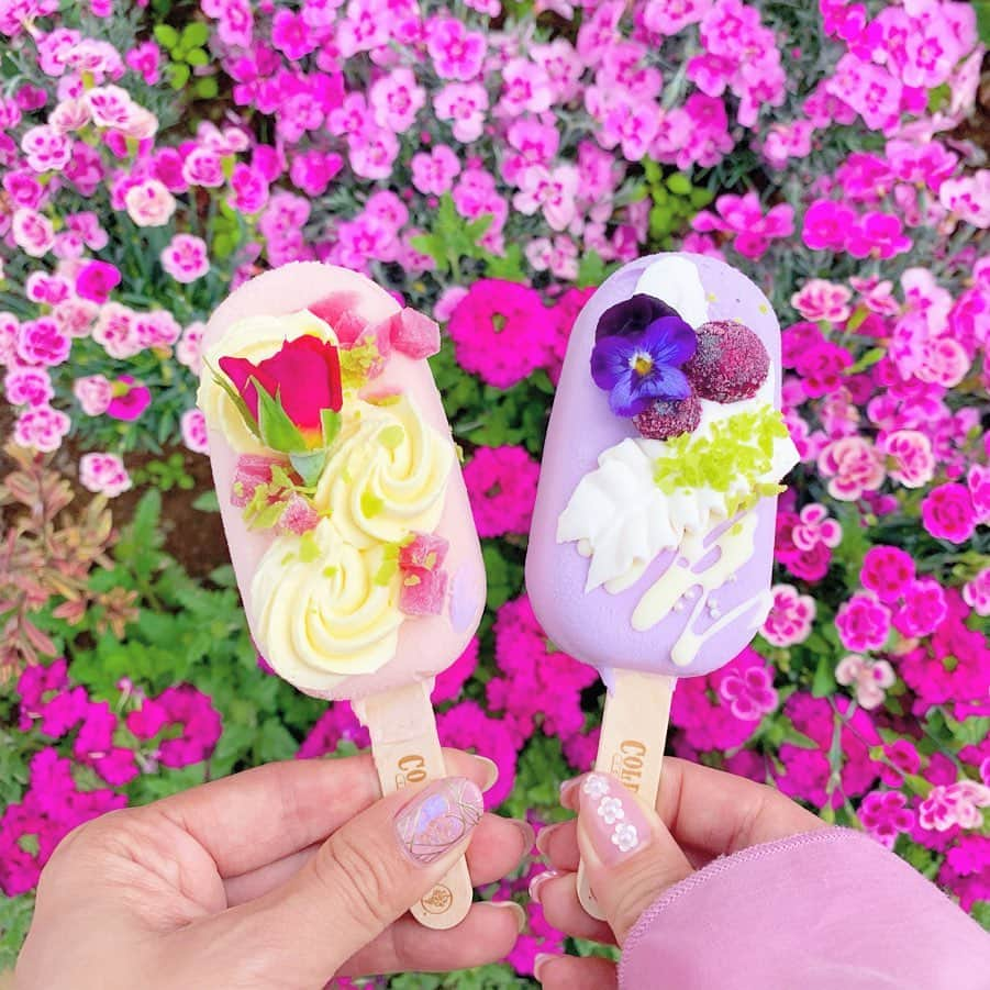 エリンコさんのインスタグラム写真 - (エリンコInstagram)「💞🍦💞 * 足利フラワーパーク限定のコールドストーンアイス💖 ローズフレーバー🌹と藤のフレーバー💟 見た目から可愛すぎっ💖💖💖 * * #あしかがフラワーパーク#足利#栃木県#栃木旅行#国内旅行#藤#大藤#むらさき藤#藤の花#フジ#足利フラワーパーク#えりんコーデ #お花畑#花畑#リボン#コールドストーン#アイスクリーム#ハーフツイン#ハーフツインテール#えりんこヘアアレンジ#コールドストーンアイス#miumiu#rosarymoon#theaterproducts#ribbon#wisteria#trip#flowergarden#japaneseflower#ashikagaflowerpark」5月8日 12時51分 - erinko0315