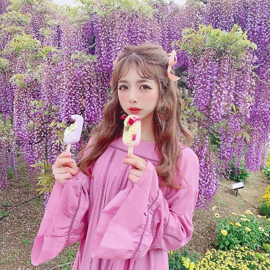 エリンコさんのインスタグラム写真 - (エリンコInstagram)「💞🍦💞 * 足利フラワーパーク限定のコールドストーンアイス💖 ローズフレーバー🌹と藤のフレーバー💟 見た目から可愛すぎっ💖💖💖 * * #あしかがフラワーパーク#足利#栃木県#栃木旅行#国内旅行#藤#大藤#むらさき藤#藤の花#フジ#足利フラワーパーク#えりんコーデ #お花畑#花畑#リボン#コールドストーン#アイスクリーム#ハーフツイン#ハーフツインテール#えりんこヘアアレンジ#コールドストーンアイス#miumiu#rosarymoon#theaterproducts#ribbon#wisteria#trip#flowergarden#japaneseflower#ashikagaflowerpark」5月8日 12時51分 - erinko0315