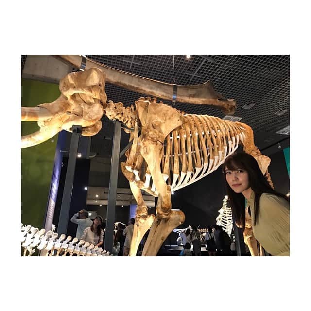 上野愛奈さんのインスタグラム写真 - (上野愛奈Instagram)「お休みの日。東京・上野の国立科学博物館で開催されている「大哺乳類展２－みんなの生き残り作戦」に行ってきました🦌🦔 500以上の剥製や骨格標本を間近で見ることができ、終始大興奮。すべて、生きるために進化した偶然の産物であることを教えてもらいました👏。 #上野  #国立科学博物館  #大哺乳類展2 #みんなの生き残り作戦 #骨格標本」5月8日 12時51分 - ueno_aina_816