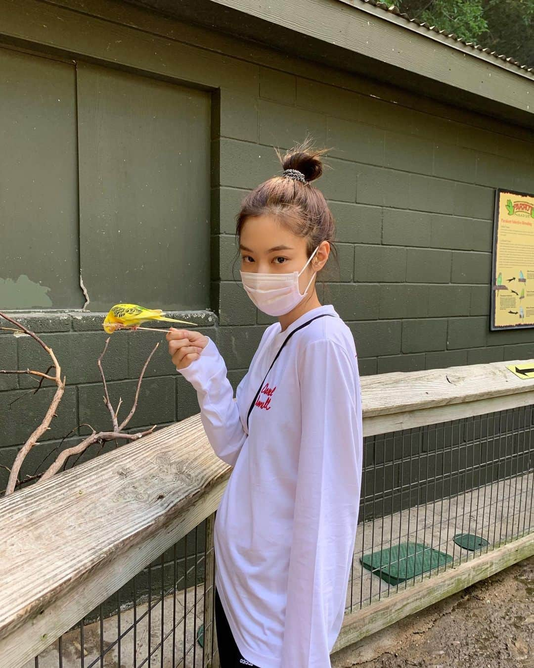 ジェニーさんのインスタグラム写真 - (ジェニーInstagram)「Hi birdie」5月8日 11時24分 - jennierubyjane