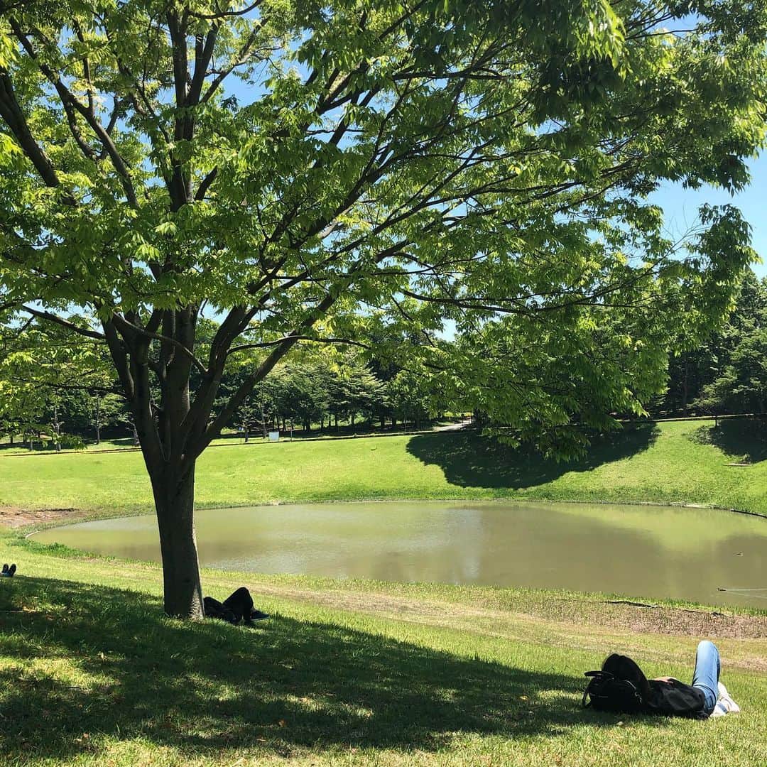 北山陽一のインスタグラム：「なう。いいてんきだにゃー」