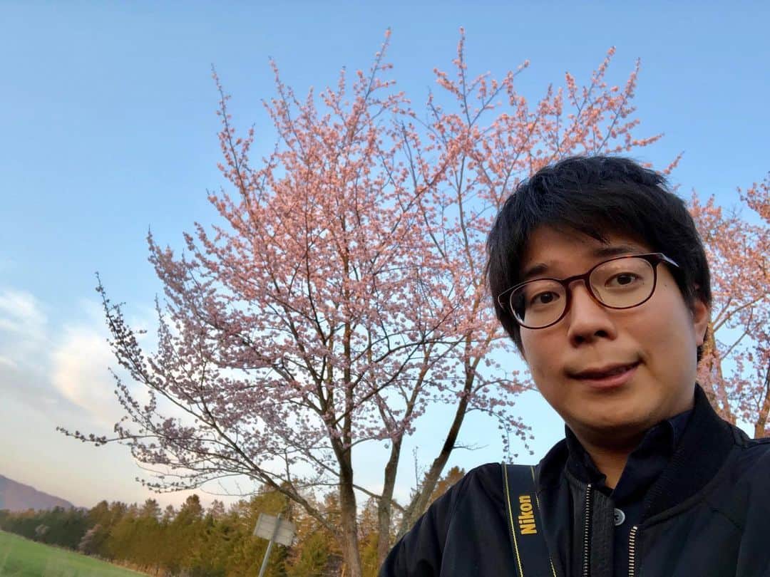 堀内大輝さんのインスタグラム写真 - (堀内大輝Instagram)「初投稿です！ GWも明けまして、みなさまいかがお過ごしですか？ 桜の写真を撮りたいと思い、連休の1番混んでいる時に静内に行ってきました🌸 ついいい気分になって桜だけで200枚以上シャッターを切ってしまい、もう整理が大変。これあるあるですよね？ 中から桜のベストショットをいくつか！ あ、ベストって普通１枚？選べない。 . 公式Instagram始めました！ よろしくお願いします🙇‍♂️ .  #桜 #静内 #二十間道路 #写真 #一眼レフ #cherryblossom #ベストショットはまだまだあるので後ほど載せますね #いやだからそれはベストではないんだって #写真整理 #が大変 #HBC #北海道放送 #アナウンサー #堀内大輝 @hbc_announcer  @hbc_kyodoki」5月8日 11時54分 - hbc_daikihoriuchi