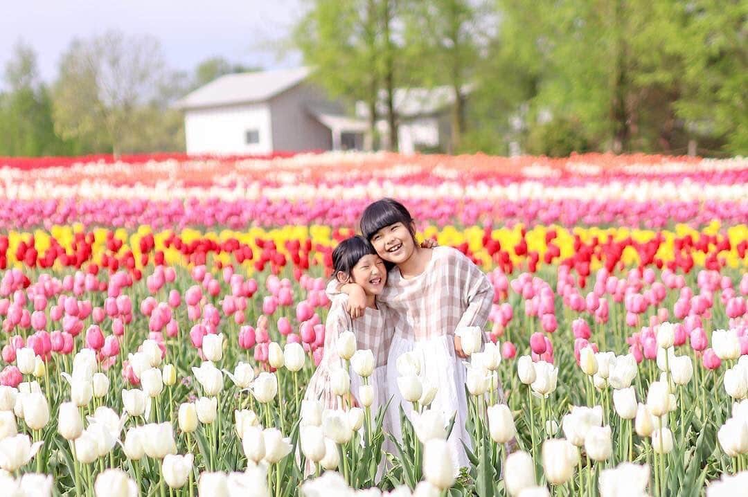 のインスタグラム：「こんにちは😊 現在、「春」をテーマにお写真・動画を募集中です✨ 本日の #タビスルキッズ はこちら💕 📷 @aki_kawakamiさん 🚩広島県・世羅郡 「世羅高原農場」 🎙ご本人コメント 世羅高原はチューリップ満開でした🌷🌷🌷 . . location:広島県 ﻿﻿﻿﻿＊＊＊＊＊＊ こちらは75万本のチューリップが花開くんですね✨ いつも、カワイイお写真ありがとうございます💕」