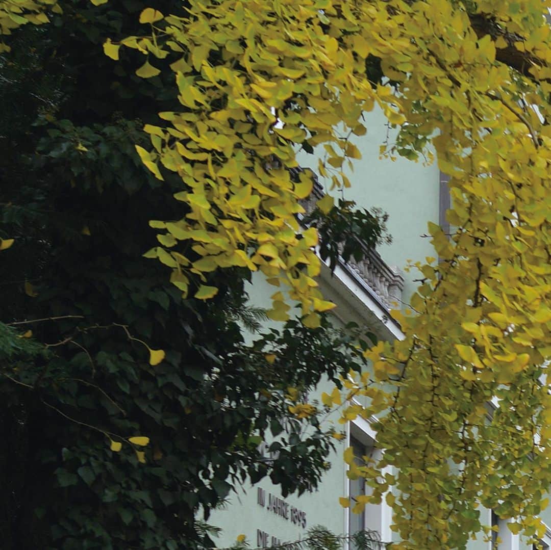 小林エリカさんのインスタグラム写真 - (小林エリカInstagram)「The Garden  Wilhelm Conrad Röntgen　Würzburg, Germany 庭 ヴィルヘルム•コンラート•レントゲン ヴュルツブルク、ドイツ 2015 #wurzburg #garden #rontgen #xray」5月8日 12時05分 - erikakobayashiek