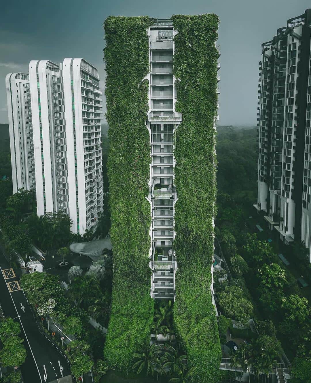 Wonderful Placesさんのインスタグラム写真 - (Wonderful PlacesInstagram)「Green in Singapore ✨😍😍💚💚✨ . Pictures by ✨✨@kevouthere✨✨ #wonderful_places for a feature 💚」5月8日 4時31分 - wonderful_places