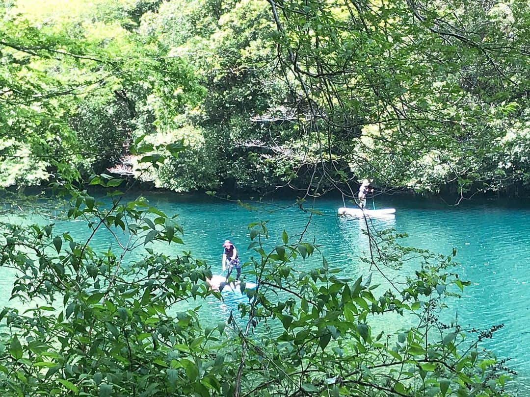 日下裕江さんのインスタグラム写真 - (日下裕江Instagram)「コバルトブルーの川  すっごい綺麗だった✨  色とりどりのサップボードがコバルトブルーの川の水に映えて可愛い💓  #白丸湖 #白丸ダム #コバルトブルーの川 #コバルトブルーの水 #サップボード #サップ #コントラスト #多摩川 #鳩ノ巣渓谷」5月8日 4時52分 - hiroe___h