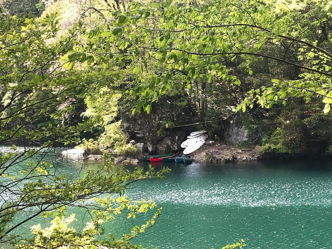 日下裕江さんのインスタグラム写真 - (日下裕江Instagram)「コバルトブルーの川  すっごい綺麗だった✨  色とりどりのサップボードがコバルトブルーの川の水に映えて可愛い💓  #白丸湖 #白丸ダム #コバルトブルーの川 #コバルトブルーの水 #サップボード #サップ #コントラスト #多摩川 #鳩ノ巣渓谷」5月8日 4時52分 - hiroe___h