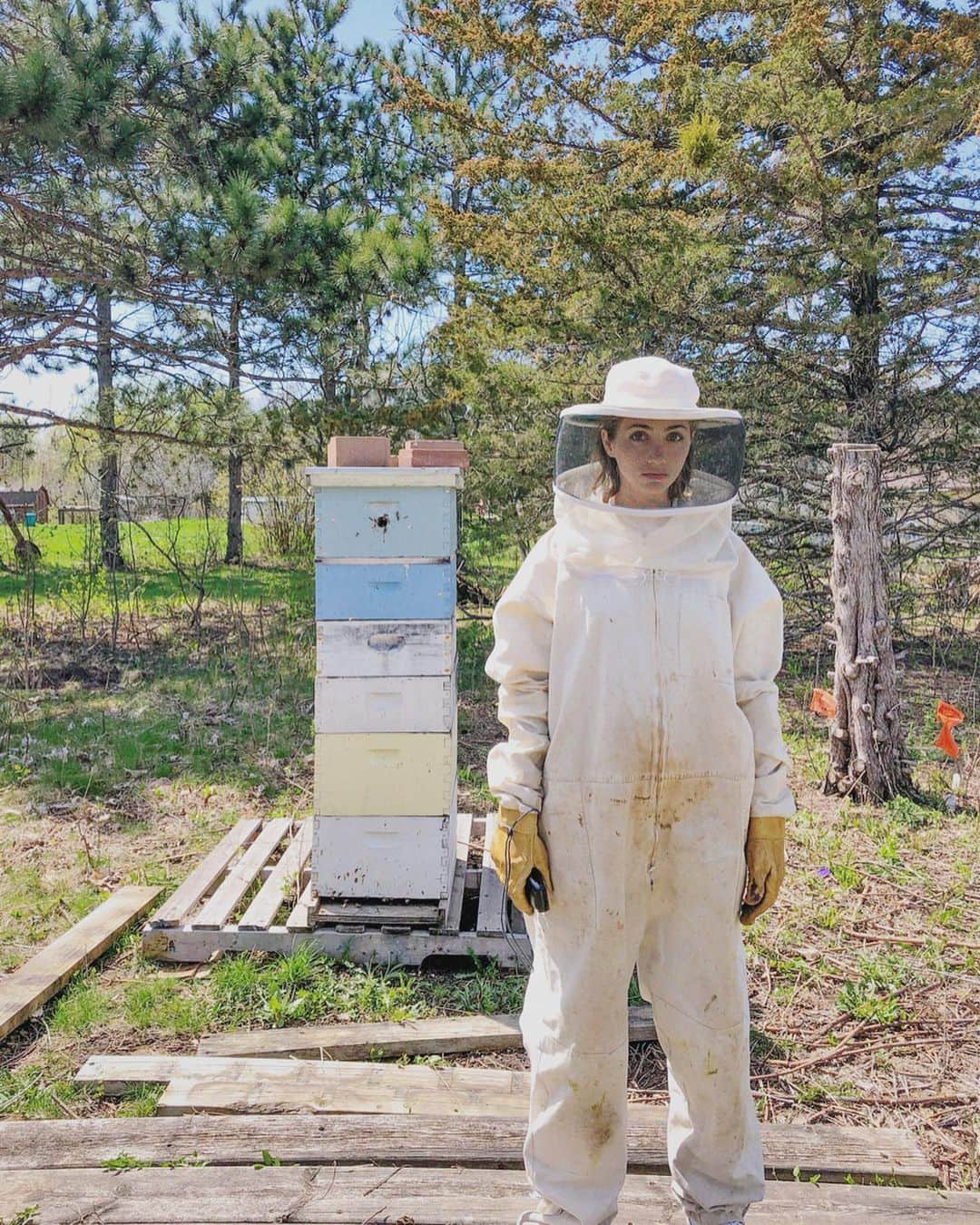 エミリー・ラッドのインスタグラム：「bees」