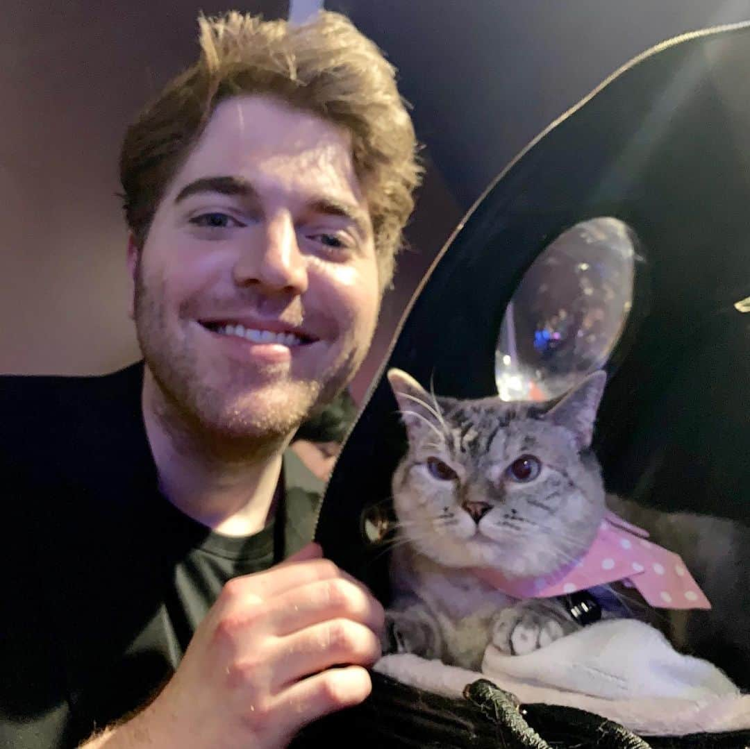 nala_catさんのインスタグラム写真 - (nala_catInstagram)「❤️❤️❤️ @shanedawson @shortyawards @pookie_n @shannonellis808」5月8日 5時29分 - nala_cat