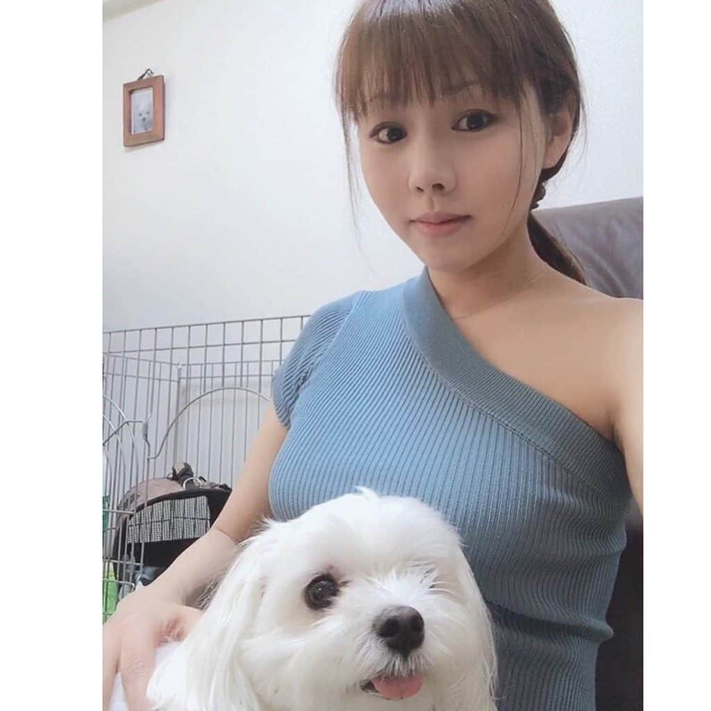 本田裕子さんのインスタグラム写真 - (本田裕子Instagram)「【「強くなること」より「自分に寛ぐこと」】 . 何か不安になったとき、 グルグル考えてしまって 無意識のうちに思考のお喋りに 主導権を渡しているとき、 . そういうときは、 思考の遮断と、意識やエネルギーの向きを変えて、 自分に寛ぐこと♡ （なぜなら不安を感じている時っていうのは、意識がそこに向かっているだけだから。例えば何かに集中してる時って不安は出ない。不安は頭であれやこれやとネガティブに考えるとどんどん膨らむ。つまりそれを考える暇があるということ。笑） ↑これを思い出すといい。 . . わたしたちは、つい「安心できる何か」を見つけようとして、望まない未来に力を与えてしまいがち。 . . だから 何か安心したいと思った時は いま安心すること。自分に寛ぐこと。  そして、いま自分にできることや 自分の中で（腹の声や直感に従って） 最善だと思うことをして前に進むこと。 . （不安って未知のものだからして妄想で自らそれを膨らましてるだけ。まずは自分に寛いで前に進んでるうちに、前に進むことに意識が向いて忘れます） . 自分に寛ぐエネルギーは、 そのエネルギーがそのまんま未来になる。 . なので、 不安から現実をなんとかしようとするよりも まずは自分の状態（波動）を整えること。 . …… とかって書いているわたしですが、 すぐに現実に捉われることって 全然あるあるです。笑 . なんだかんだ、あれやこれやと 考えはじめて（腹ではなく頭で考え）、 現実をコントロールしようとするときって 今でもあります。 . でも頭で現実はコントロールできないし、 頭で考えたことをやると、ロクなことにならんです （ええ本当に！） . 結局いつも腹の声や直感に従ったことがベストだったし、あとは天に委ねたことがベストだったし、自分に寛ぐことがベストだった。 .  なので、 ついつい頭の声の不安に主導権を渡し、いろんなことをゴチャゴチャ頭で計算してることに気付いたら、 . ★「おっと〜( ﾟдﾟ)！！！ 自分に寛いで腹の声を聞こう👂 あ～～気づいてよかった(*´▽｀*)」 ↑てな事をやっとります。 . すると、 好転的な流れにシフトチェンジする。 . そして、 ★腹をくくる、決める、 ↑これだけで好転します。 . もうこれは経験上、見事にそうなっているので、わたしの中では揺るぎない根拠になってます。 .  ただ、それでもブレちゃうのが エゴのすごいとこだなぁ～って思う。笑 .  けれど、 めげない。責めない。闘わない。 （これ、めっちゃ大事！♡） . . 大切なのは、 ブレたあとの軌道修正。 何度でも自分の中心に戻ること♡ . （これでわたしは最近、1日で流れが好転し、有難いことが立て続けに起きました🙏ええ、ブレてました。笑） . . そして、人の目を気にしてる間は、 気にする暇がある証拠。 （そういえば、まりんのことで動いているときは🐶 それどころではありませんでした） . . ということで 何か不安になったときは、 これらのこと思い出すこと。 .  まずは波動。 . あれこれ頭で考えるより 自分に寛ぐこと。 . これだけで 軽やかになって 行動力もアップします。 . . …… 話は変わって、 まりんはまだ入院中ですが、 よく食べてるらしく、 （一回だけ吐いたそうですが ） 昨日、すべての抜糸もして、 かなり元気になってきてるとのこと♡嬉 . あと最終的な詳しい検査が終われば 退院の流れになりそうです。 . 退院OKになったら、早く迎えに行って🏠で安心してゆっくり休ませてあげたいな🐶💕 . . まりんはわたしのことを信頼して待ってくれているのが、わかるんです♡ . . 写真は実家のクリちゃん🐶（前半） 最後の2枚はまりん🐶（後半） . …… #思考の遮断 #まずは波動 #意識やエネルギーの向き #自分を整え #自分に寛ぐ #現実に捉われる #めげない #責めない #軌道修正 #何度でも自分の中心に戻る #シフトチェンジ #腹をくくる #愛娘 #早くウチで安心して休ませてあげたい #抜糸 #まもなく退院 #早く会いたい #まりん #クリちゃん #マルチーズ大好き #本田裕子」5月8日 5時56分 - rinrin_yuko