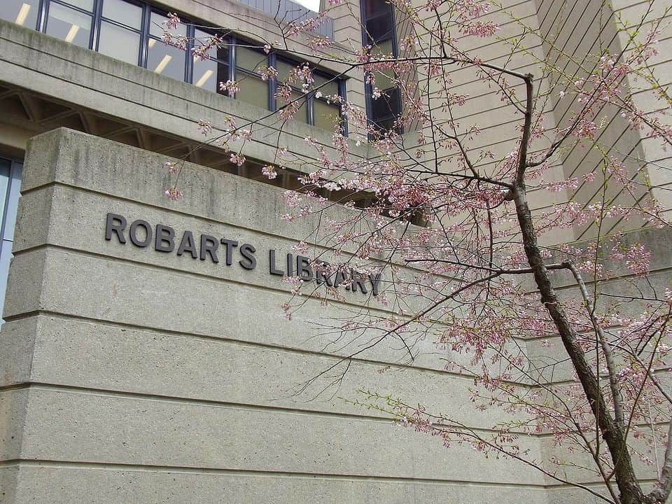 LifeTorontoさんのインスタグラム写真 - (LifeTorontoInstagram)「LTスタッフ、５月４日(土)にトロント大学で桜を見てきたので、写真でシェア。⠀⠀ そのときはまだ１部咲きといった感じでしたが、ココ数日は天気も良かったので、これからの開花が楽しみですね。今だけの桜鑑賞、たっぷり楽しみましょう！⠀⠀ トロントで楽しめる桜スポット４ヶ所を紹介した過去の記事もぜひチェックくださいね。⁣@lifetoronto.jp のプロフィールに記載👆🏼URLのリンク先からチェックするとこの記事のページへ飛びます。⁣⠀⁣⠀⠀ ⁣⠀⠀ ⁣.⁣⁣⠀⠀ .⁣⠀⁣⠀⠀ .⁣⠀⁣⠀⠀ #桜 #海外 #カナダ #トロント #トロントライフ #トロント生活 #トロント在住 #カナダ生活 #カナダ在住 #カナダライフ #海外生活 #海外暮らし #海外移住 #海外育児 #海外子育て #英語 #留学 #海外留学 #トロント留学 #カナダ留学 #ワーホリ#ワーキングホリデー #カナダワーホリ #トロントワーホリ #ワーホリ生活 #海外出張 #海外就職 #駐在生活 #駐在 ⁣#カナダ好きな人と繋がりたい ⁣⠀⠀」5月8日 6時34分 - lifetoronto.jp