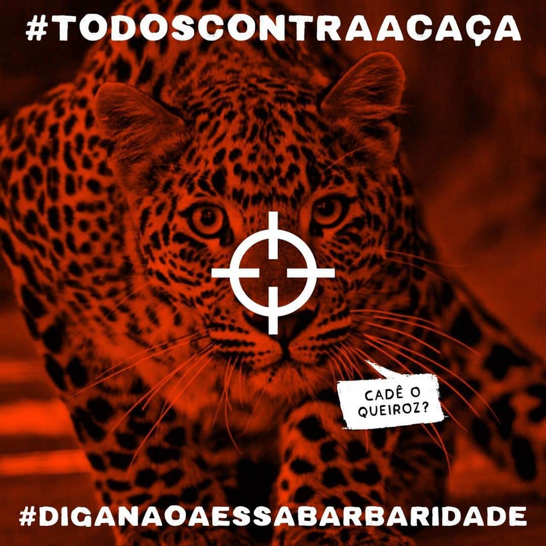 ナタリア・ディルさんのインスタグラム写真 - (ナタリア・ディルInstagram)「#repost @342Amazonia Urgente!! Bolsonaro assinou hoje o Decreto que facilita a vida dos caçadores e vai permitir o assassinato de milhares de animais. A falta de transparência deixa a situação aida mais assustadora. O desgoverno omitiu o conteúdo do decreto e informou que apenas amanhã o texto  será publicado no Diário Oficial. #Diganãoaessabarbaridade #343Amazonia #342Amazônia #todoscontracaça」5月8日 7時33分 - nathaliadill