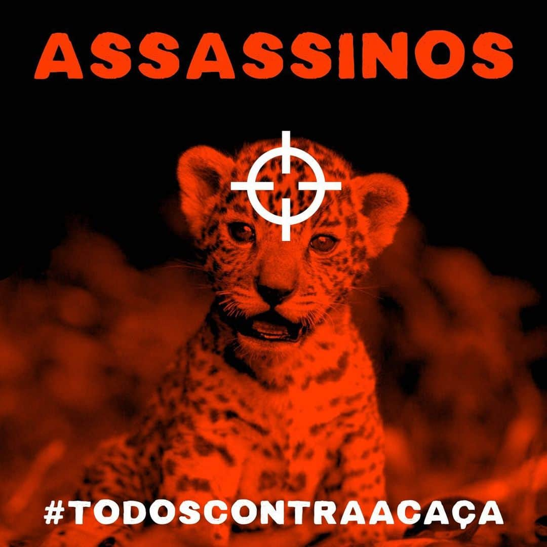 ナタリア・ディルさんのインスタグラム写真 - (ナタリア・ディルInstagram)「#repost @342Amazonia Urgente!! Bolsonaro assinou hoje o Decreto que facilita a vida dos caçadores e vai permitir o assassinato de milhares de animais. A falta de transparência deixa a situação aida mais assustadora. O desgoverno omitiu o conteúdo do decreto e informou que apenas amanhã o texto  será publicado no Diário Oficial. #Diganãoaessabarbaridade #343Amazonia #342Amazônia #todoscontracaça」5月8日 7時33分 - nathaliadill