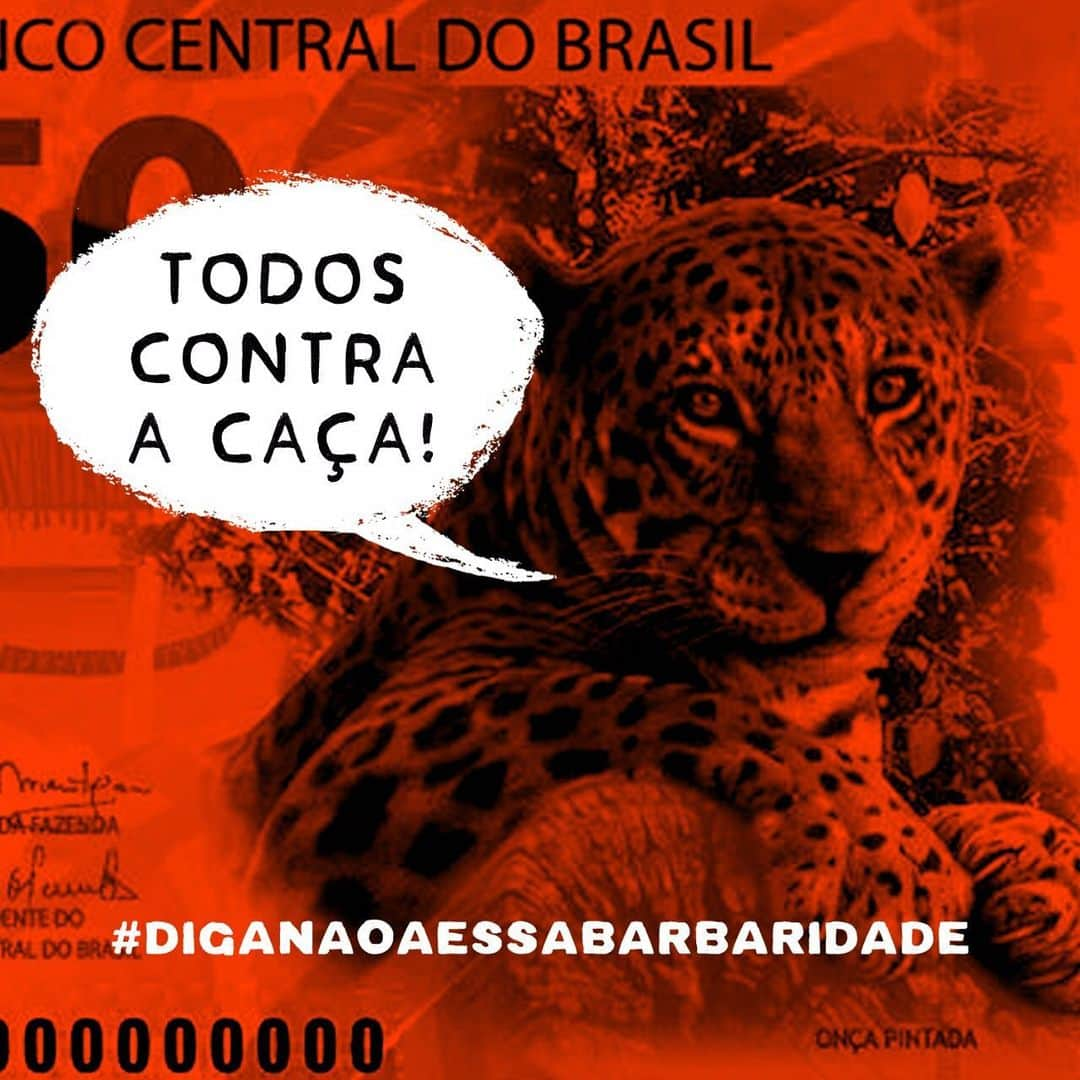 ナタリア・ディルさんのインスタグラム写真 - (ナタリア・ディルInstagram)「#repost @342Amazonia Urgente!! Bolsonaro assinou hoje o Decreto que facilita a vida dos caçadores e vai permitir o assassinato de milhares de animais. A falta de transparência deixa a situação aida mais assustadora. O desgoverno omitiu o conteúdo do decreto e informou que apenas amanhã o texto  será publicado no Diário Oficial. #Diganãoaessabarbaridade #343Amazonia #342Amazônia #todoscontracaça」5月8日 7時33分 - nathaliadill