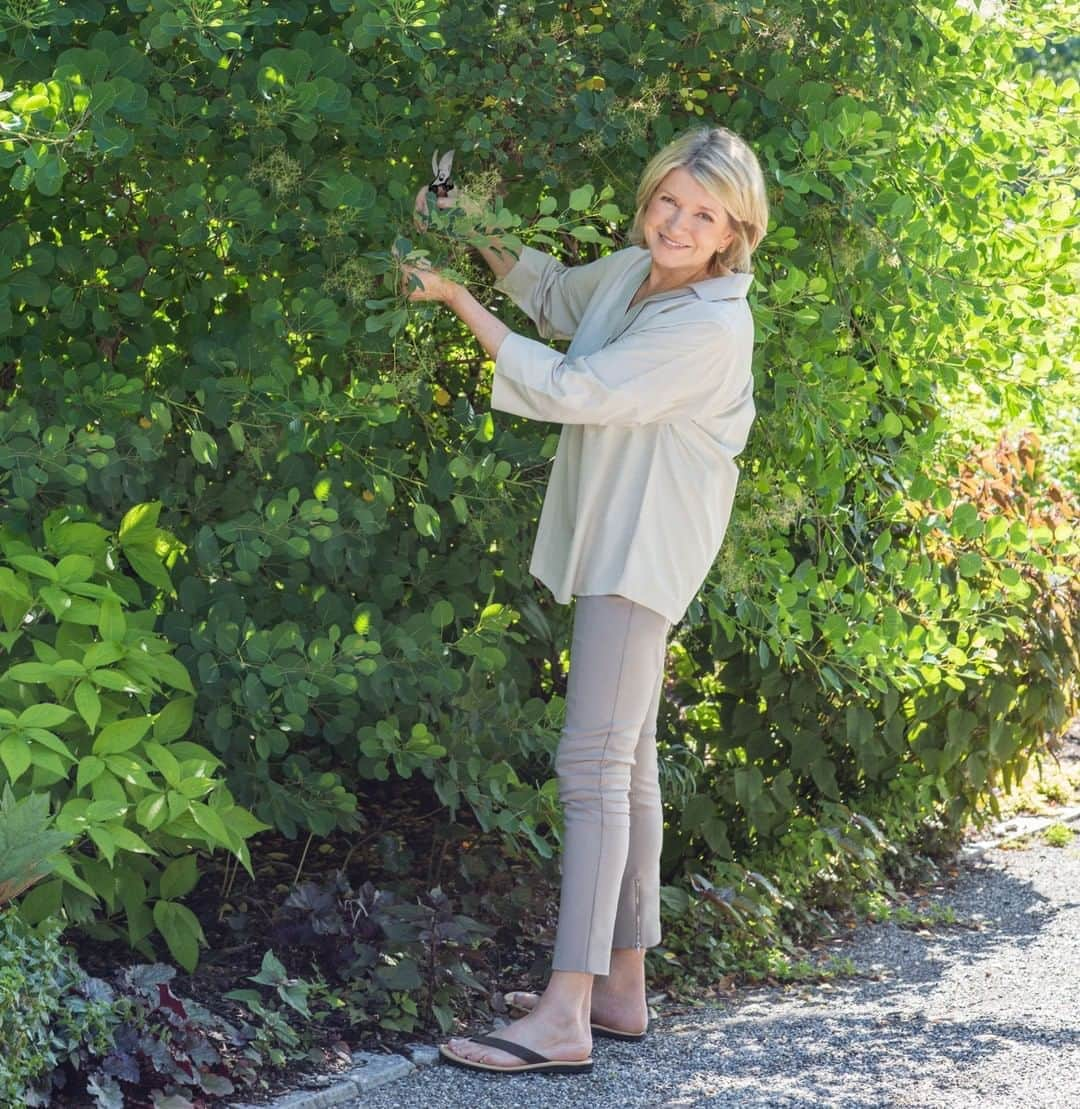 マーサ・スチュワートさんのインスタグラム写真 - (マーサ・スチュワートInstagram)「This Mother's Day, give her an assortment of Martha's gardening essentials available on @amazon. 👩🏼‍🌾 Check out her @amazonhome gift guide for thoughtful gifting ideas, from a multi-purpose 48-gallon tote bag to a beautiful copper bird feeder. 🐦 Create a gift bundle with all of the tools and accessories she'll need to keep her outdoor space looking beautiful all year round. Visit the link in bio to learn more! 👆🏼」5月8日 7時30分 - marthastewart