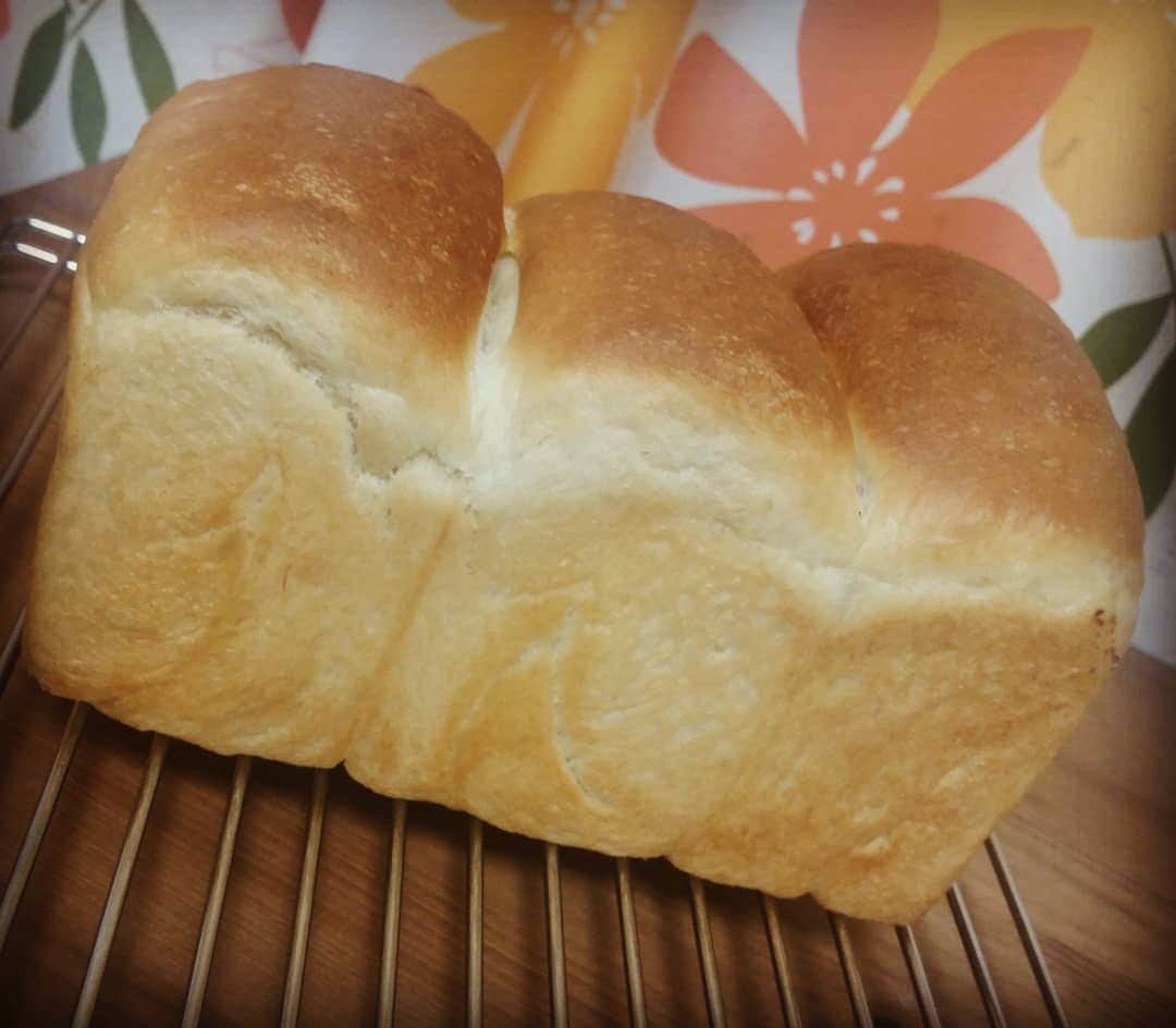 あべこさんのインスタグラム写真 - (あべこInstagram)「本日の朝ごパン🍞💕 最近ハマってる甘酒食パン🍞✨ あの美味しい、どハマリした八鹿さんの甘酒を使ってます🍞✨ #朝ごパン #パン作り #てごねパン  #甘酒  #甘酒食パン  #八鹿」5月8日 8時21分 - abekopan