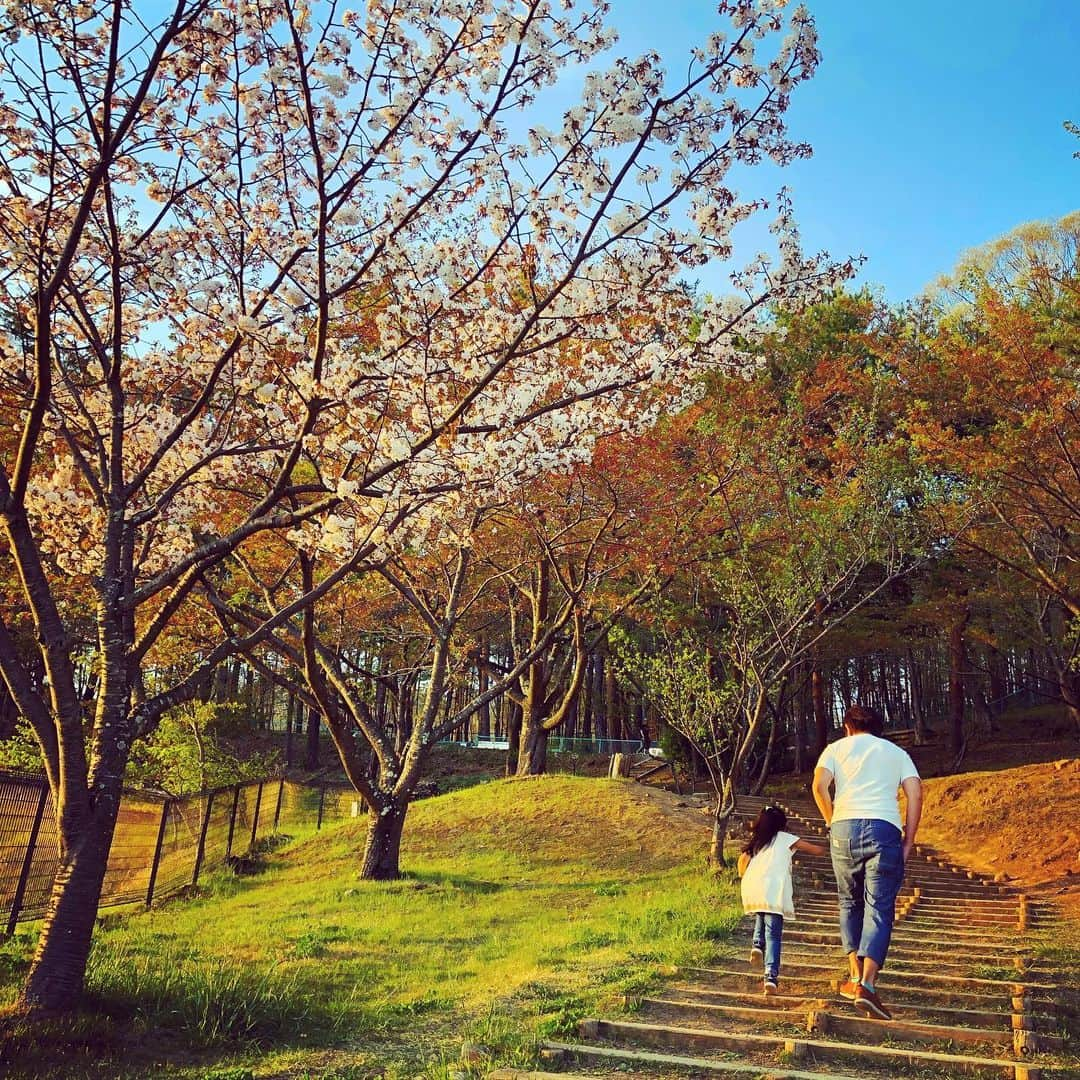 吹田早哉佳さんのインスタグラム写真 - (吹田早哉佳Instagram)「連休が終わり、日常が戻ってきました。 毎日のお弁当も始まり、昨日も今日もドタバタな朝。 保護者会役員執行部の仕事も本格的に動き出し、私もなんだか慌ただしい生活です💦 今日は懇親会。先生から子供たちの様子が聞けるのが楽しみです😊  #連休明け#慌ただしい日々が始まる  #保護者会#役員会 #kissmamaになろう」5月8日 8時31分 - sayaka.0623