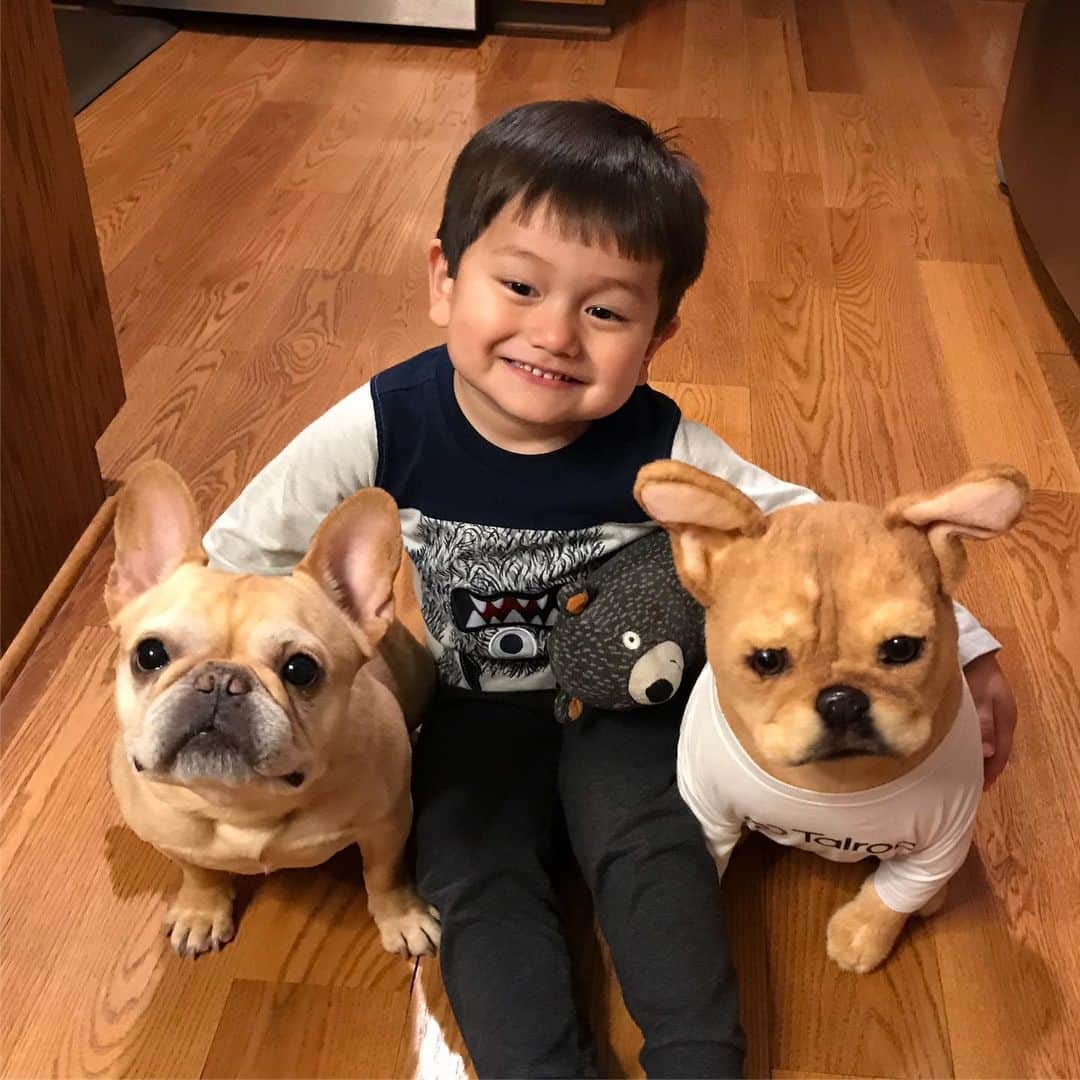Hamlinのインスタグラム：「When a new “dog” arrives and your bro calls it “Hammy”. 😞 There goes 3+ years of a meaningful, healthy broship. 😂 Thanks, @talroo_official, for sending me the @cuddleclones. .......... #twinning #brothers」