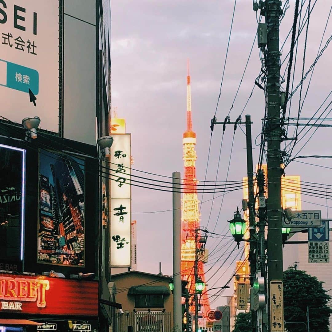 ぽこのインスタグラム：「東京タワーがめちゃくちゃ綺麗に見える場所の近くにいたよ🗼✨ #くんくんtokyo  #東京タワー」